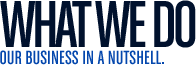 What We Do: our business in a nutshell